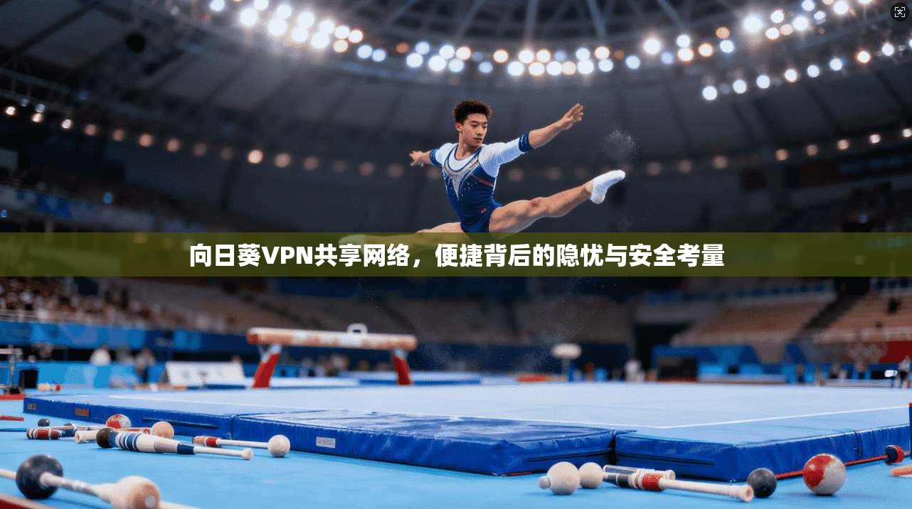 向日葵VPN共享网络，便捷背后的隐忧与安全考量