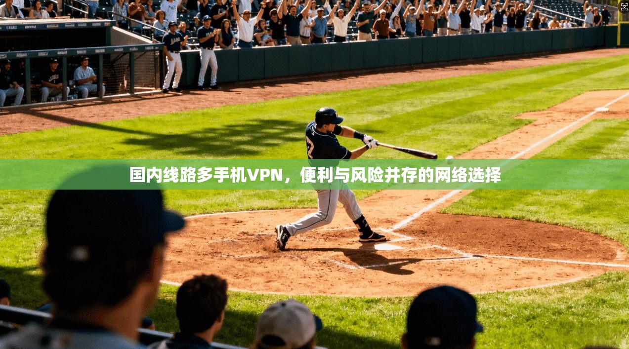 国内线路多手机VPN，便利与风险并存的网络选择