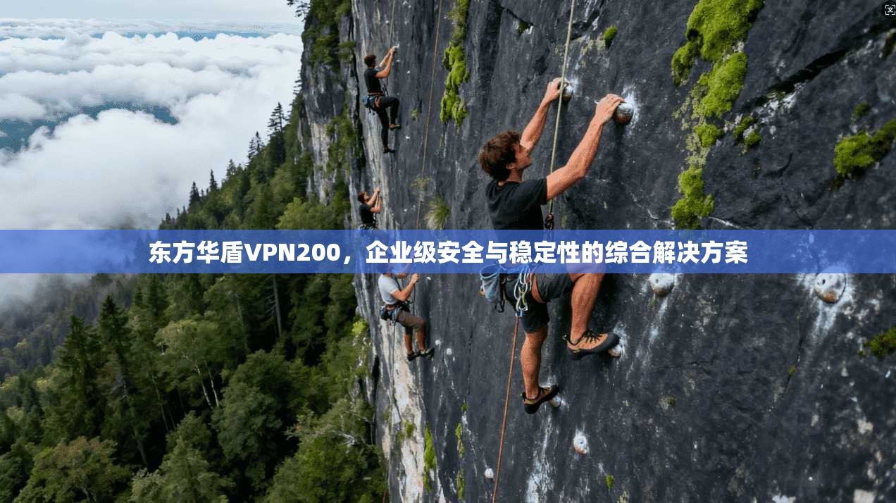 东方华盾VPN200，企业级安全与稳定性的综合解决方案