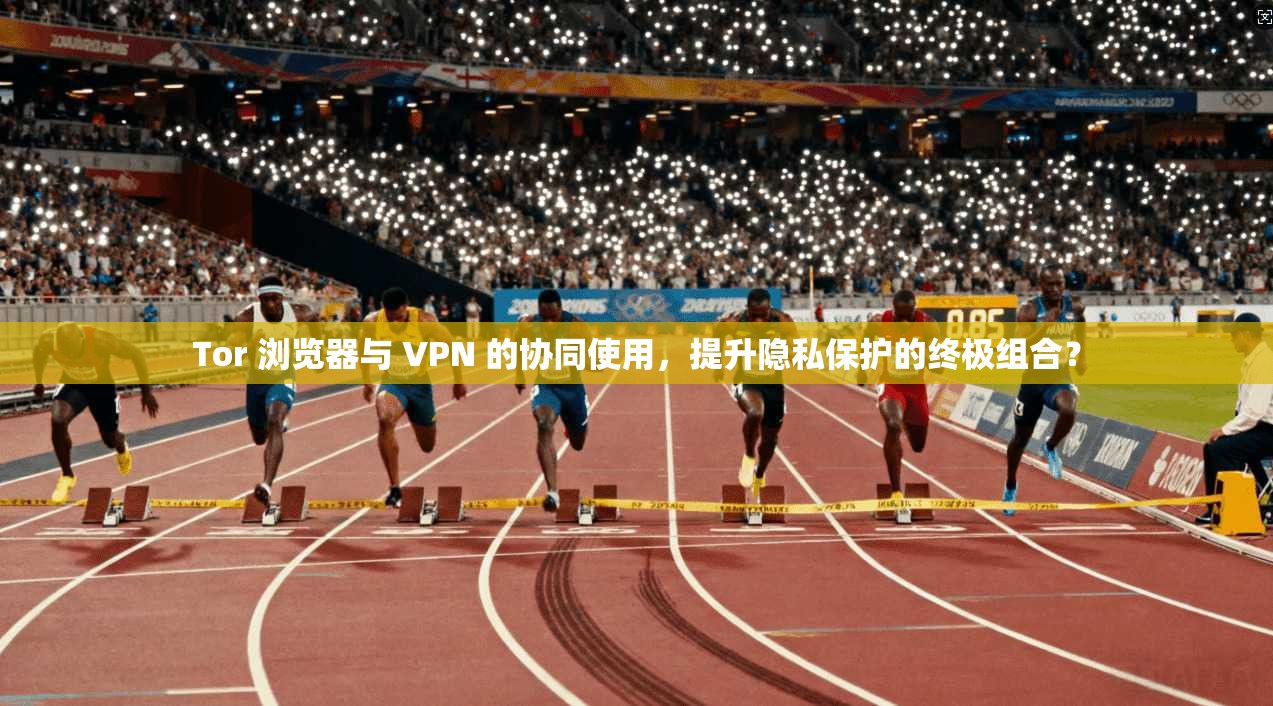 Tor 浏览器与 VPN 的协同使用，提升隐私保护的终极组合？