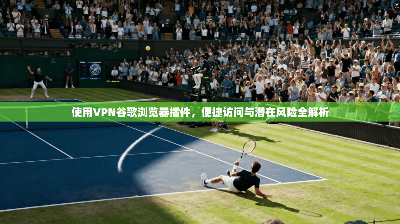 使用VPN谷歌浏览器插件，便捷访问与潜在风险全解析