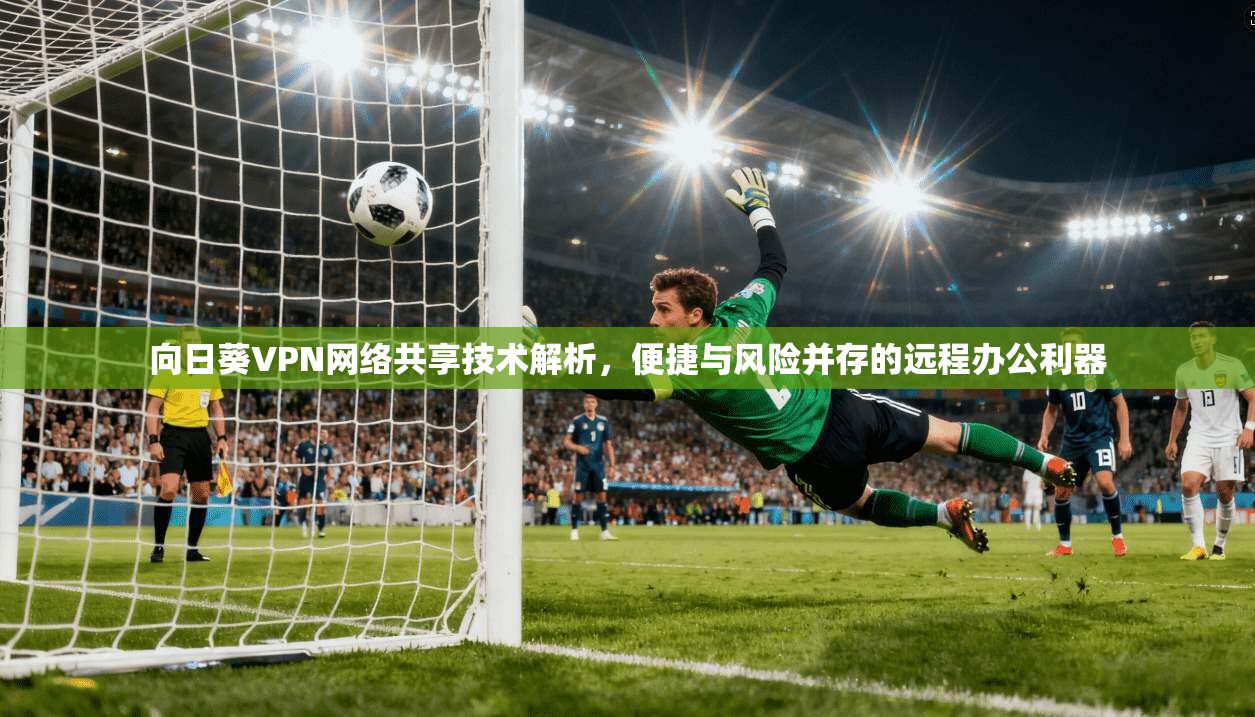 向日葵VPN网络共享技术解析，便捷与风险并存的远程办公利器