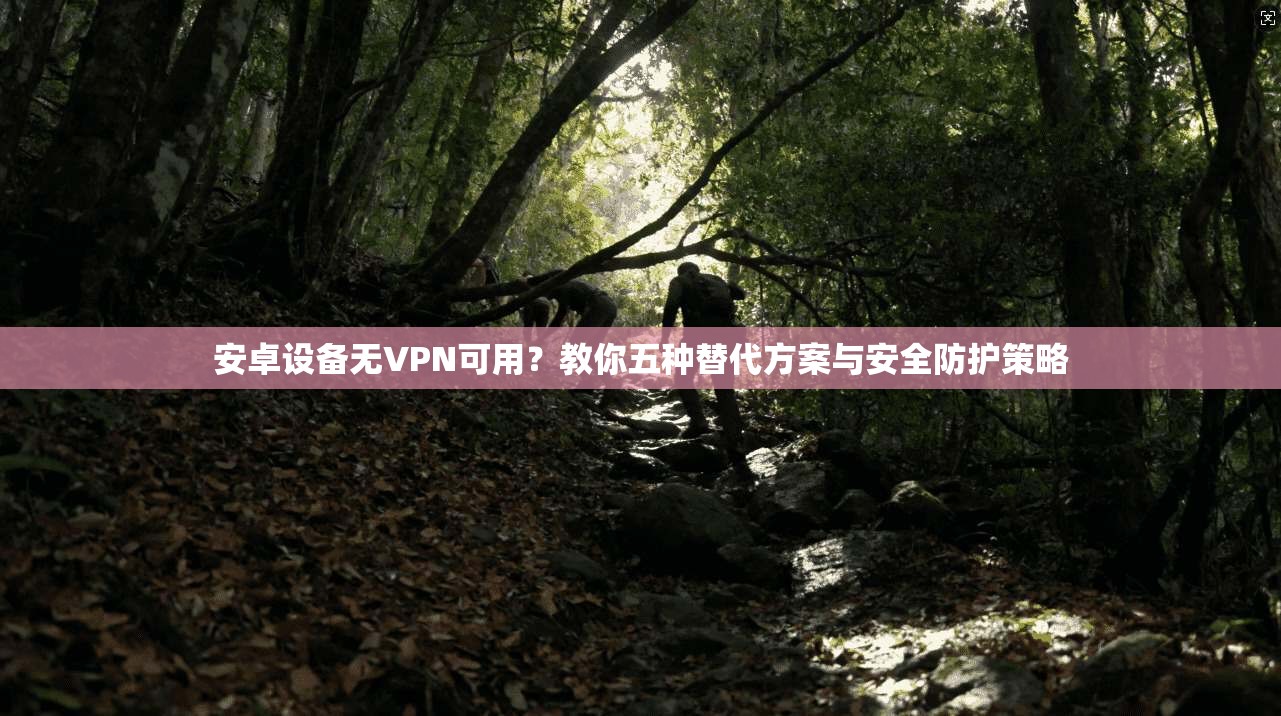 安卓设备无VPN可用？教你五种替代方案与安全防护策略