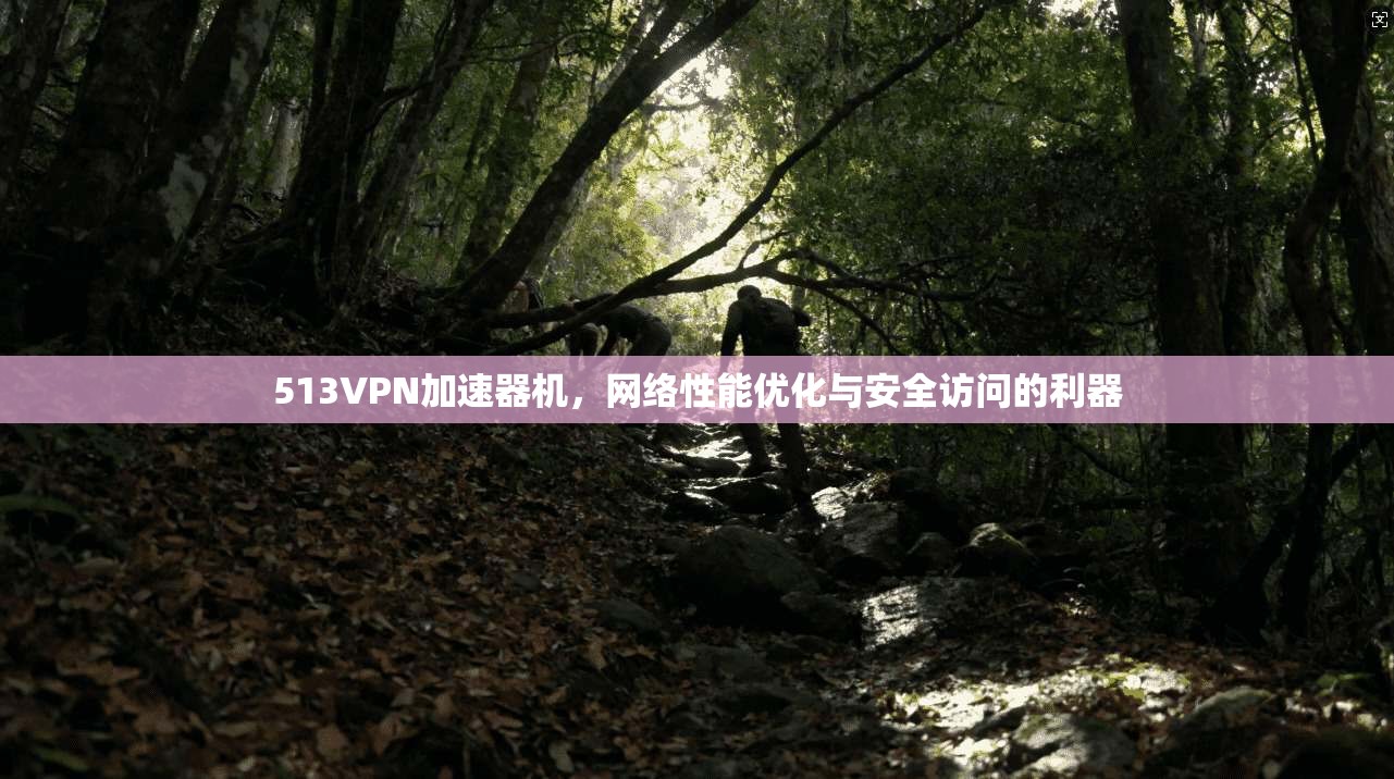 513VPN加速器机，网络性能优化与安全访问的利器