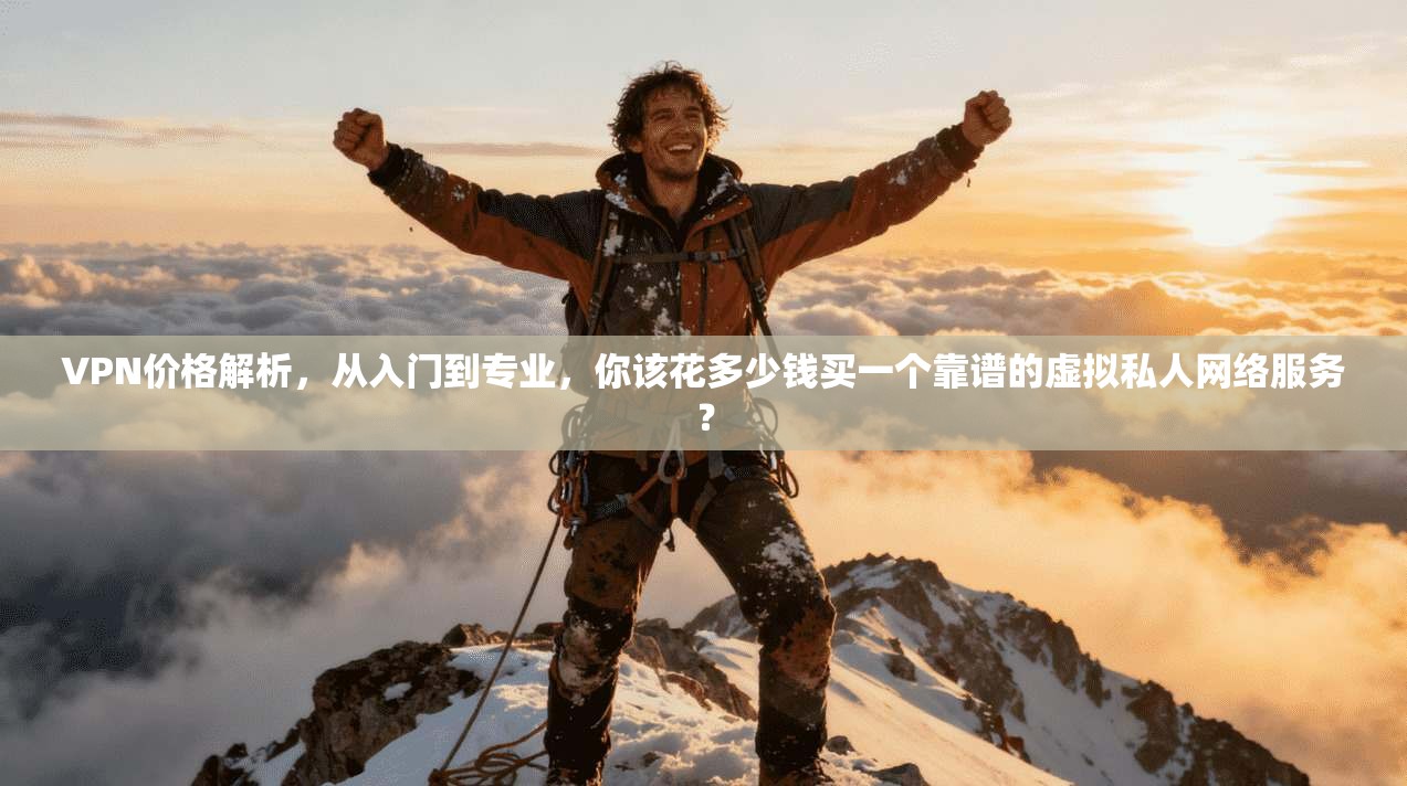 VPN价格解析，从入门到专业，你该花多少钱买一个靠谱的虚拟私人网络服务？