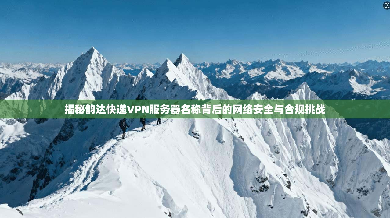 揭秘韵达快递VPN服务器名称背后的网络安全与合规挑战