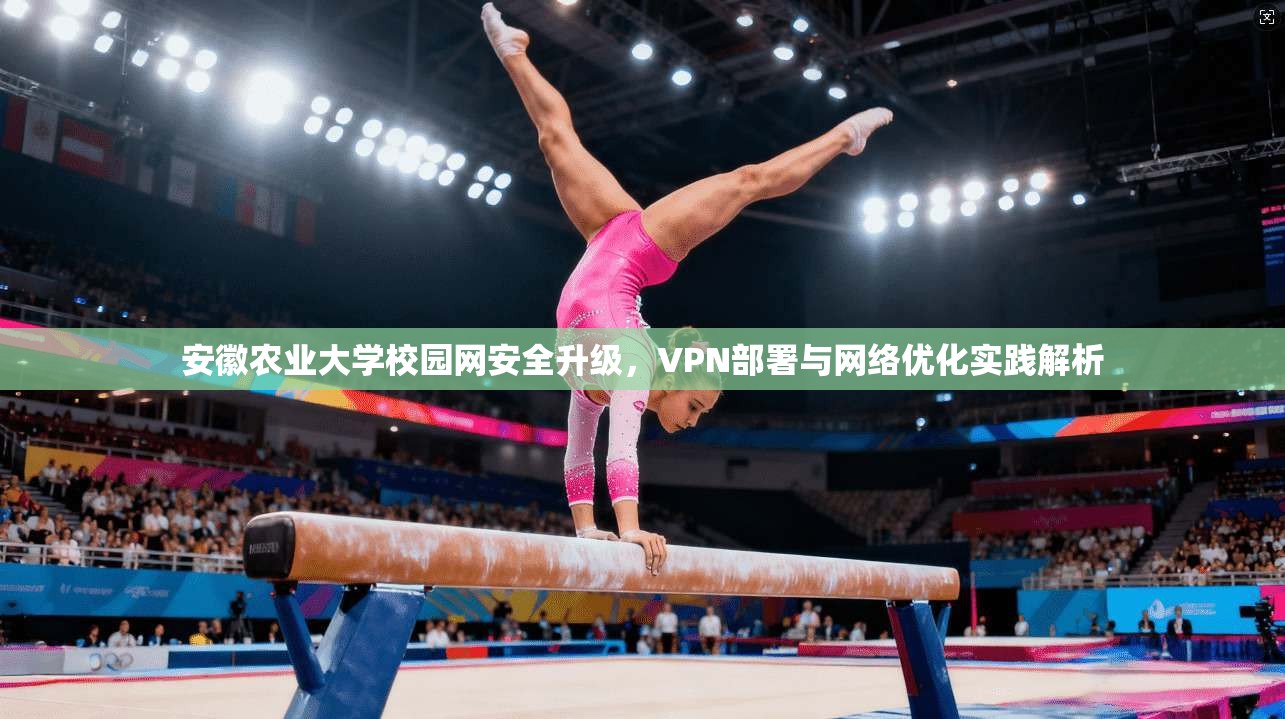 安徽农业大学校园网安全升级，VPN部署与网络优化实践解析