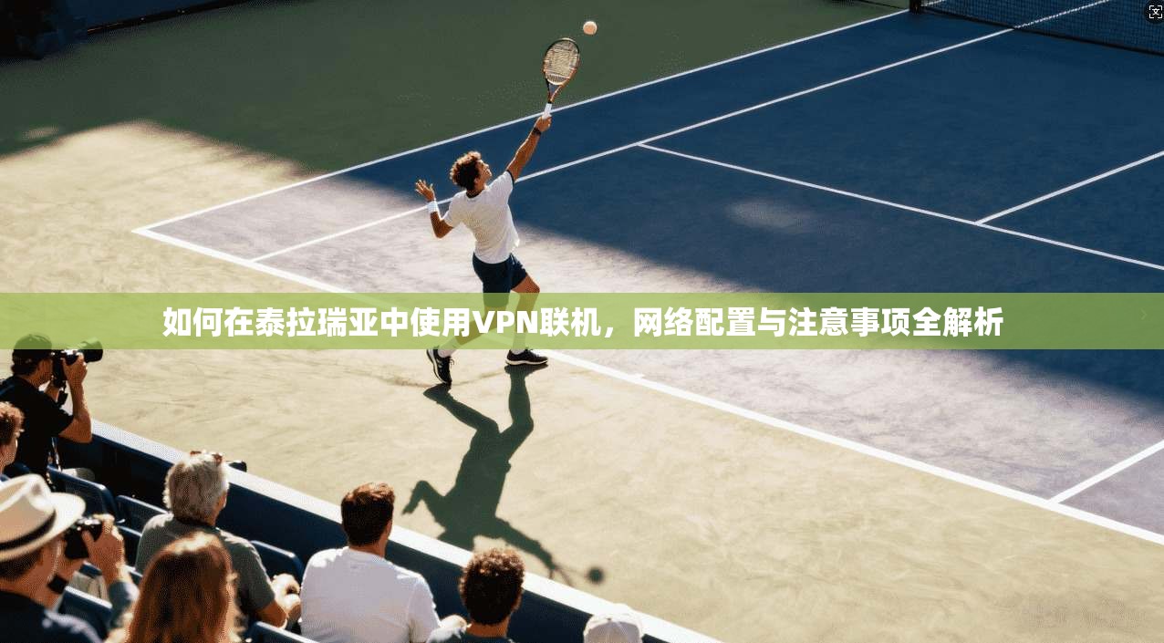 如何在泰拉瑞亚中使用VPN联机，网络配置与注意事项全解析