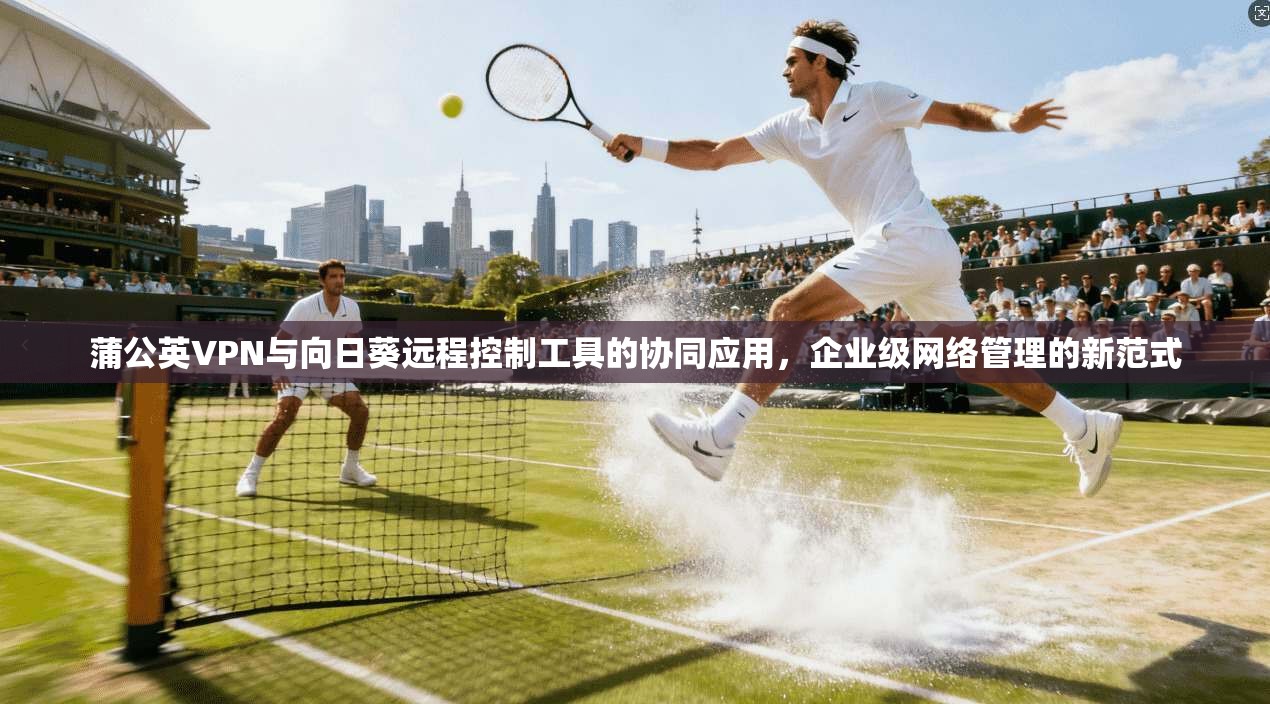 蒲公英VPN与向日葵远程控制工具的协同应用,企业级网络管理的新范式 蒲公英VPN与向日葵远程控制工具的协同应用,企业级网络管理的新范式