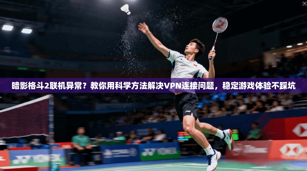 暗影格斗2联机异常？教你用科学方法解决VPN连接问题，稳定游戏体验不踩坑