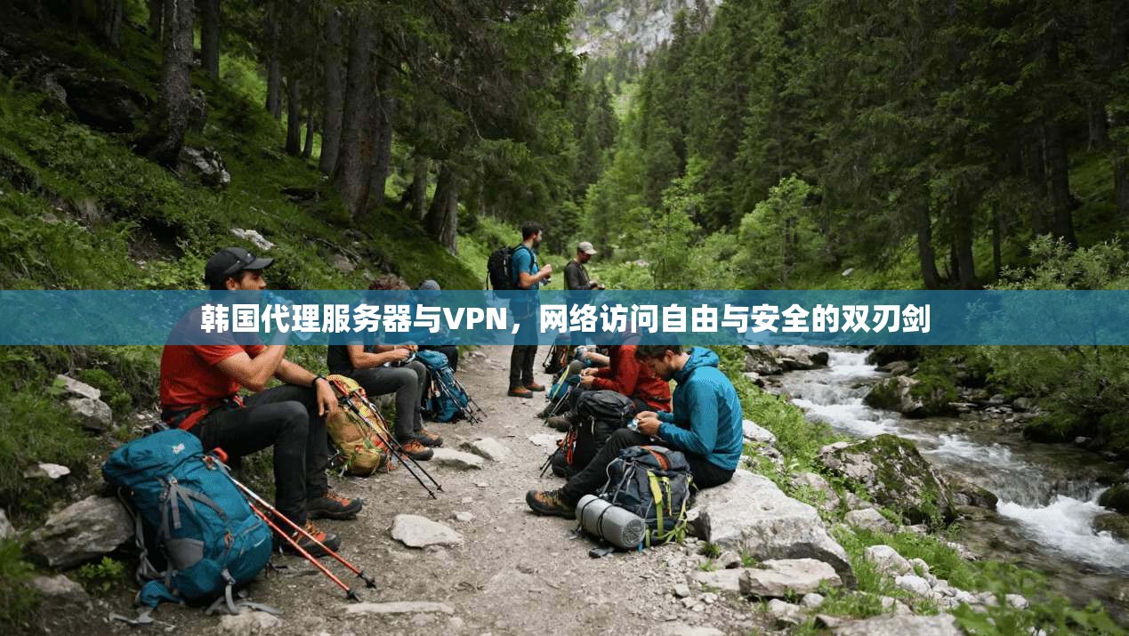 韩国代理服务器与VPN，网络访问自由与安全的双刃剑