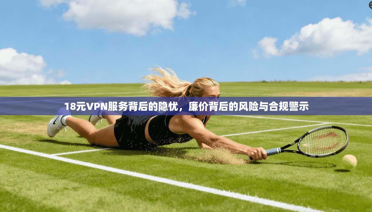 18元VPN服务背后的隐忧,廉价背后的风险与合规警示 18元VPN服务背后的隐忧,廉价背后的风险与合规警示