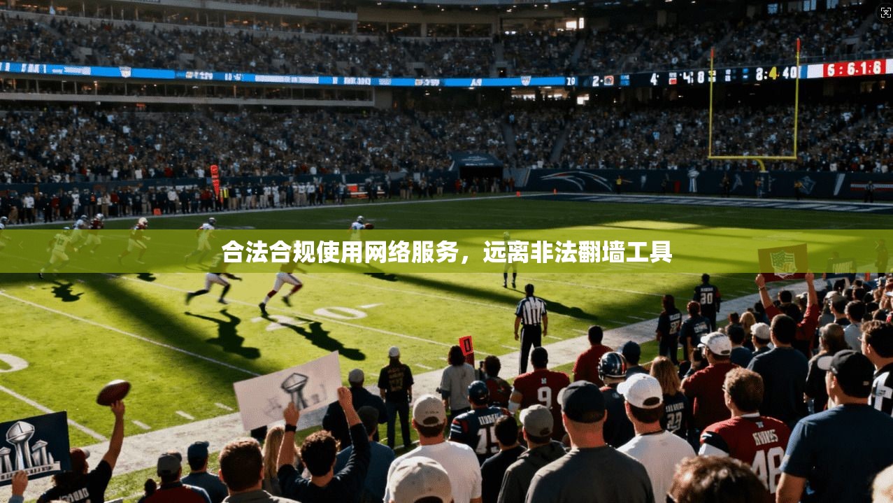 合法合规使用网络服务，远离非法翻墙工具