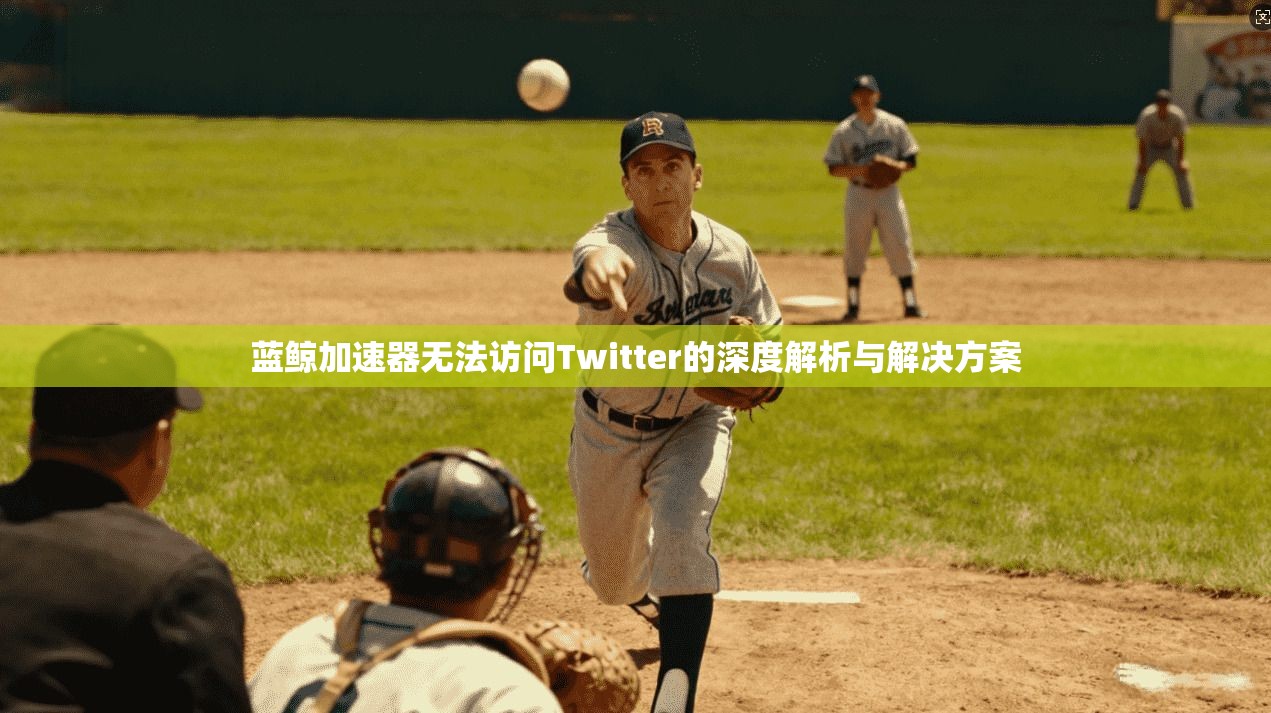 蓝鲸加速器无法访问Twitter的深度解析与解决方案