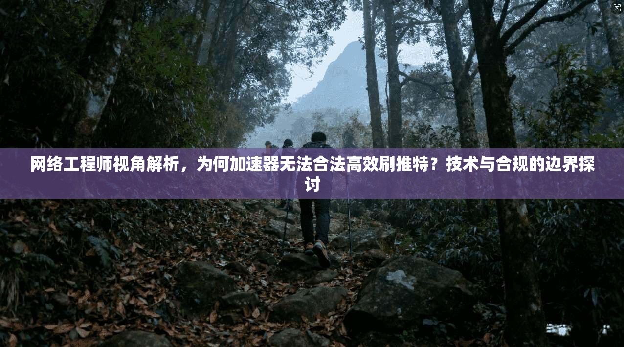 网络工程师视角解析，为何加速器无法合法高效刷推特？技术与合规的边界探讨