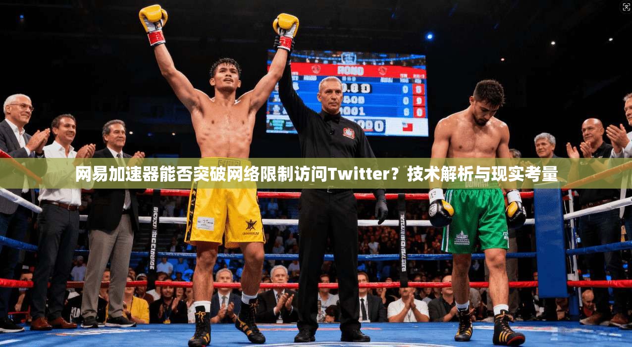网易加速器能否突破网络限制访问Twitter？技术解析与现实考量