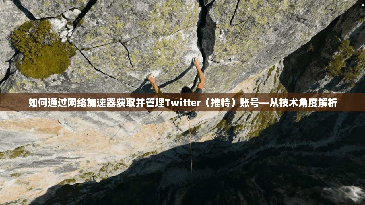 如何通过网络加速器获取并管理Twitter（推特）账号—从技术角度解析