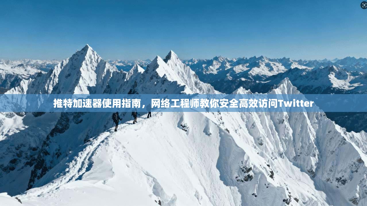 推特加速器使用指南，网络工程师教你安全高效访问Twitter