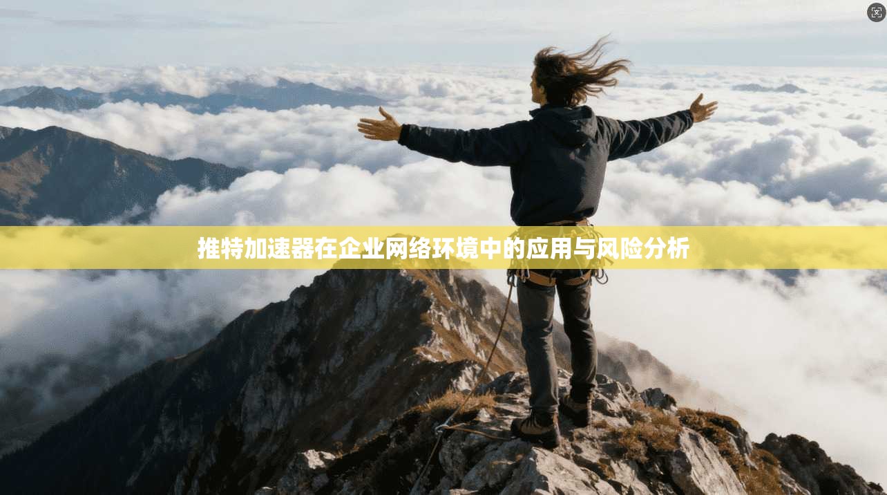 推特加速器在企业网络环境中的应用与风险分析