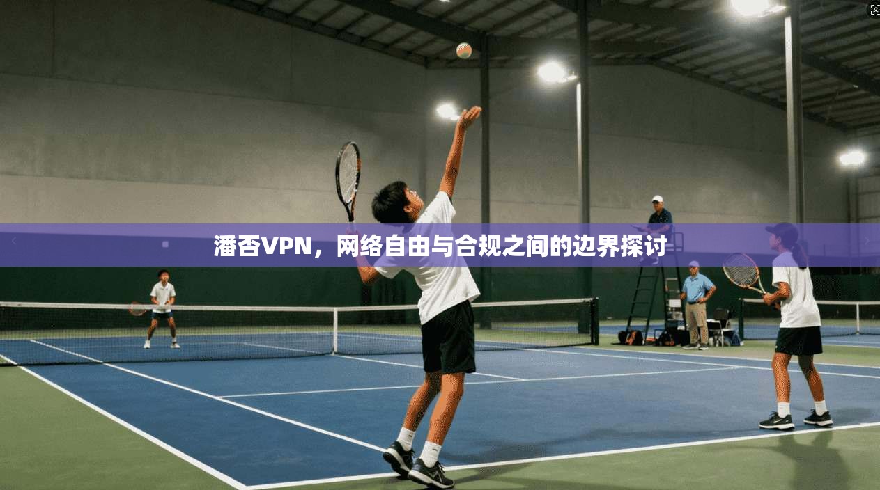 潘否VPN，网络自由与合规之间的边界探讨