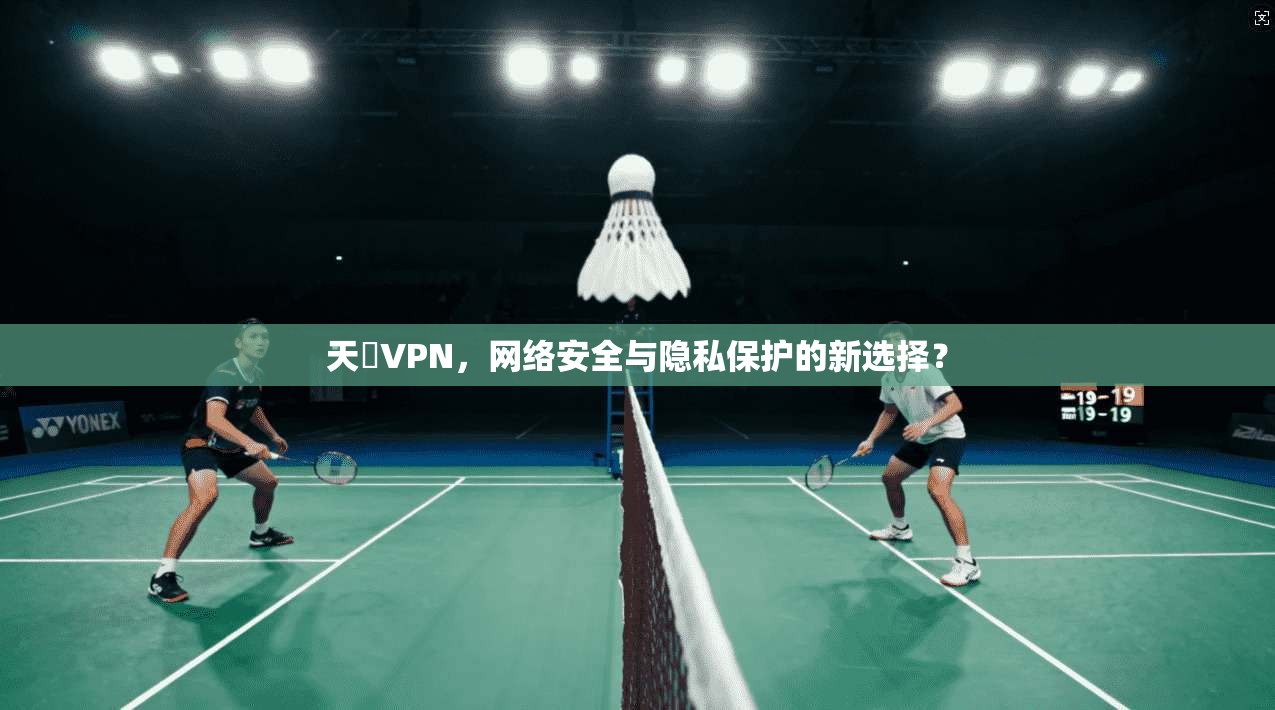 天馬VPN，网络安全与隐私保护的新选择？
