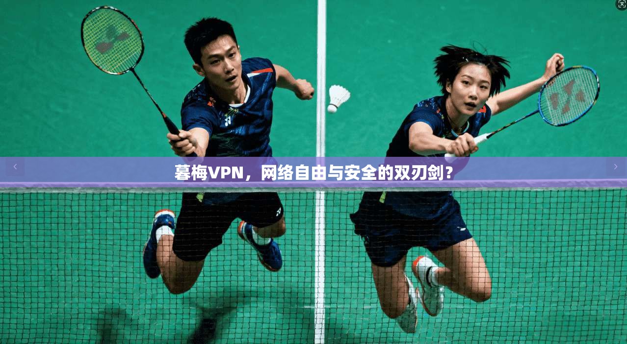 暮梅VPN，网络自由与安全的双刃剑？