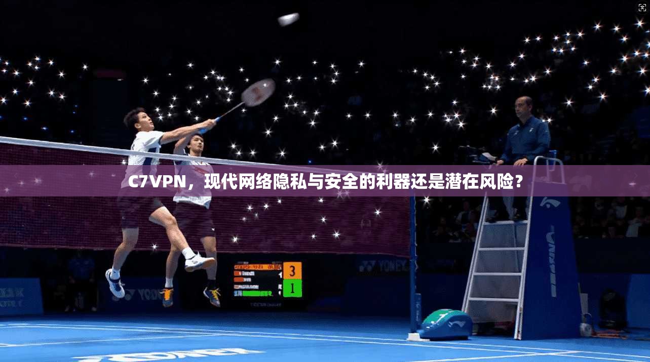 C7VPN，现代网络隐私与安全的利器还是潜在风险？