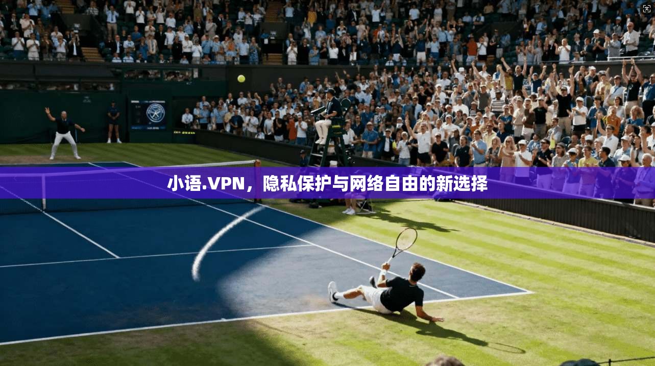 小语.VPN，隐私保护与网络自由的新选择