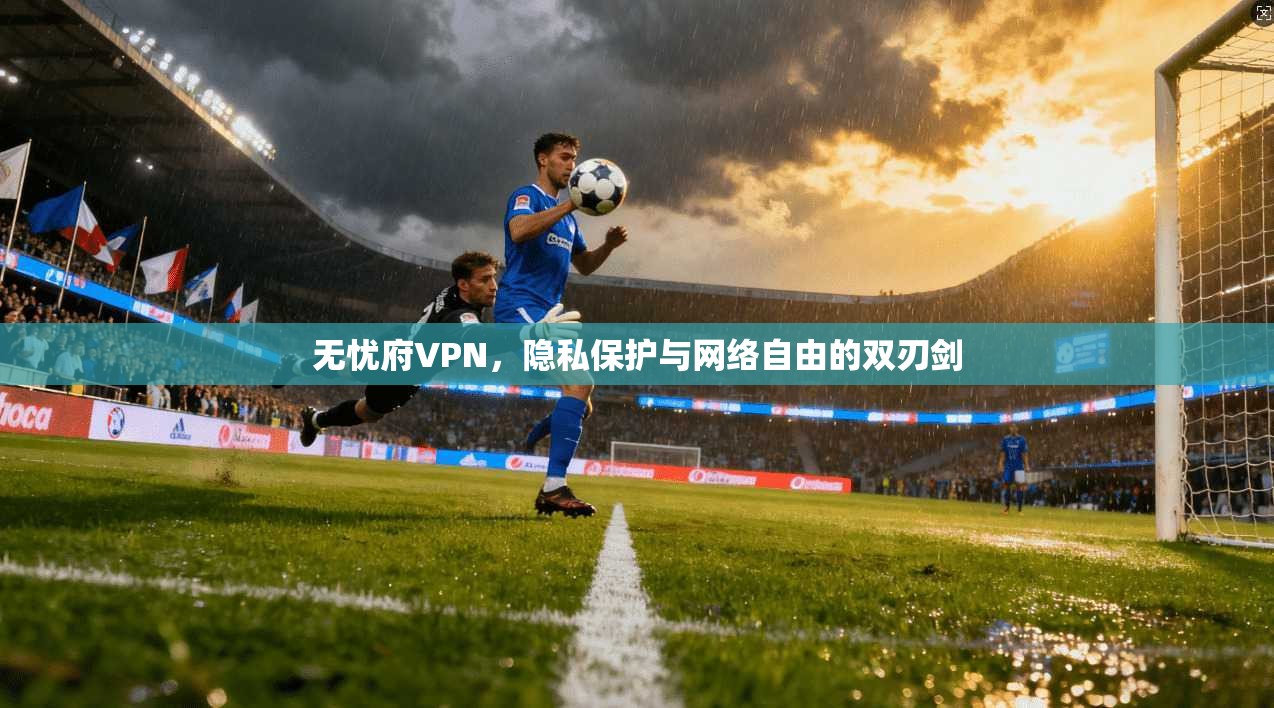 无忧府VPN，隐私保护与网络自由的双刃剑