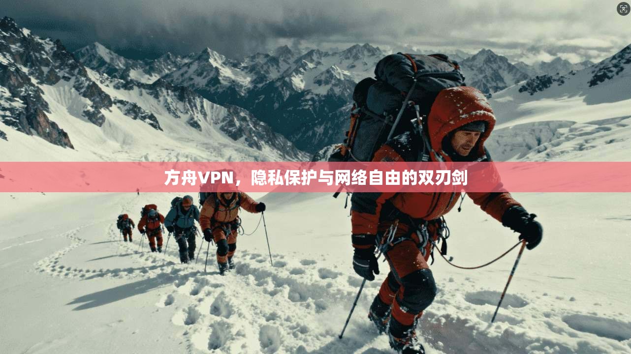 方舟VPN,隐私保护与网络自由的双刃剑