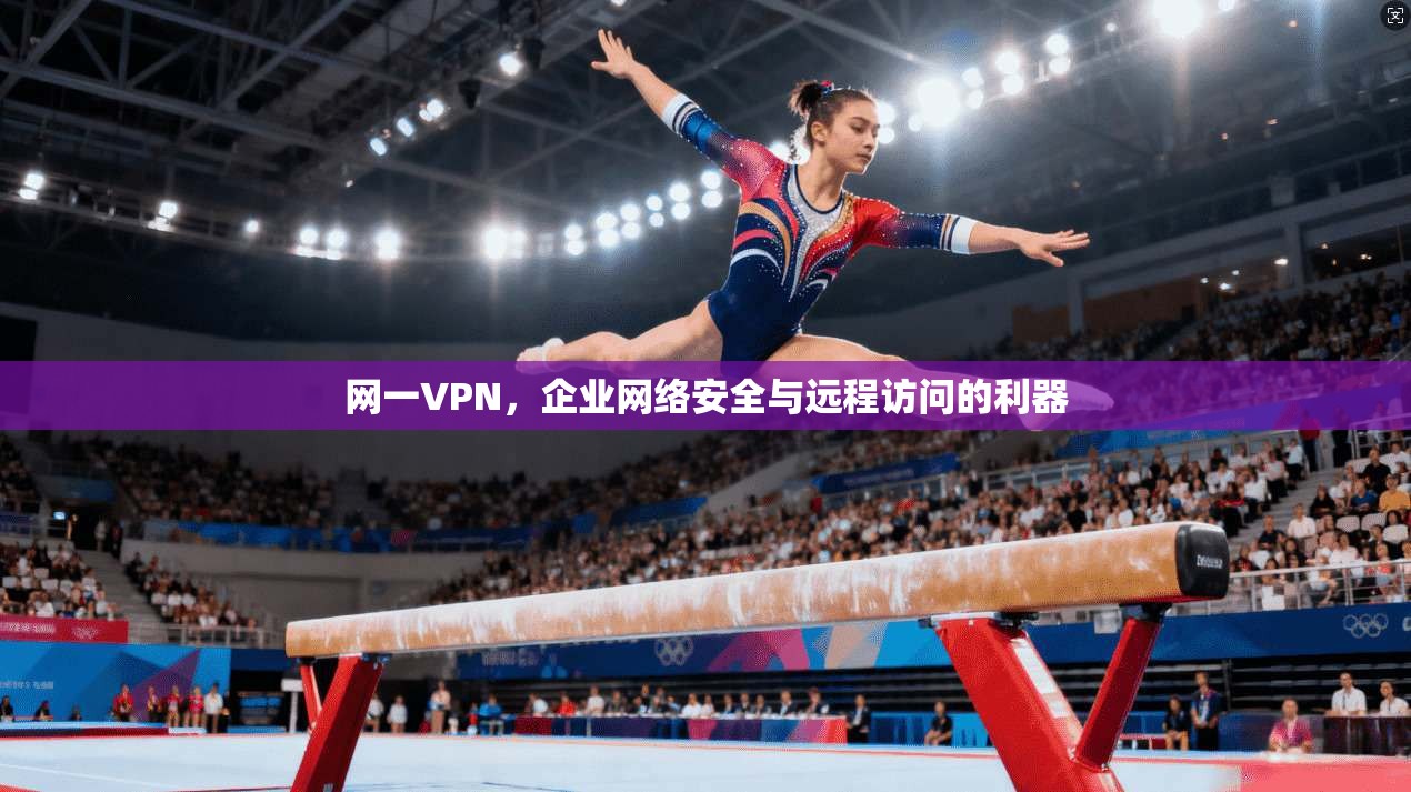 网一VPN,企业网络安全与远程访问的利器