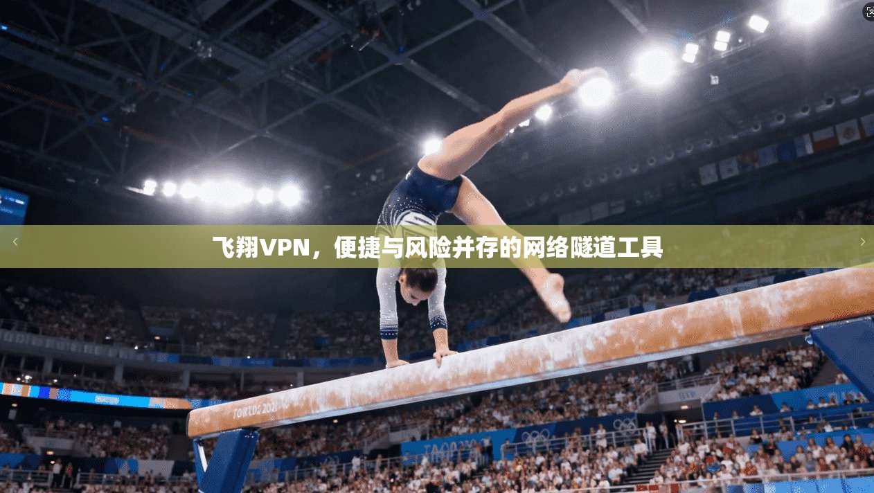 飞翔VPN，便捷与风险并存的网络隧道工具