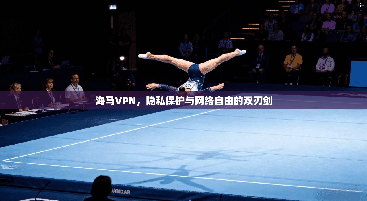 海马VPN,隐私保护与网络自由的双刃剑