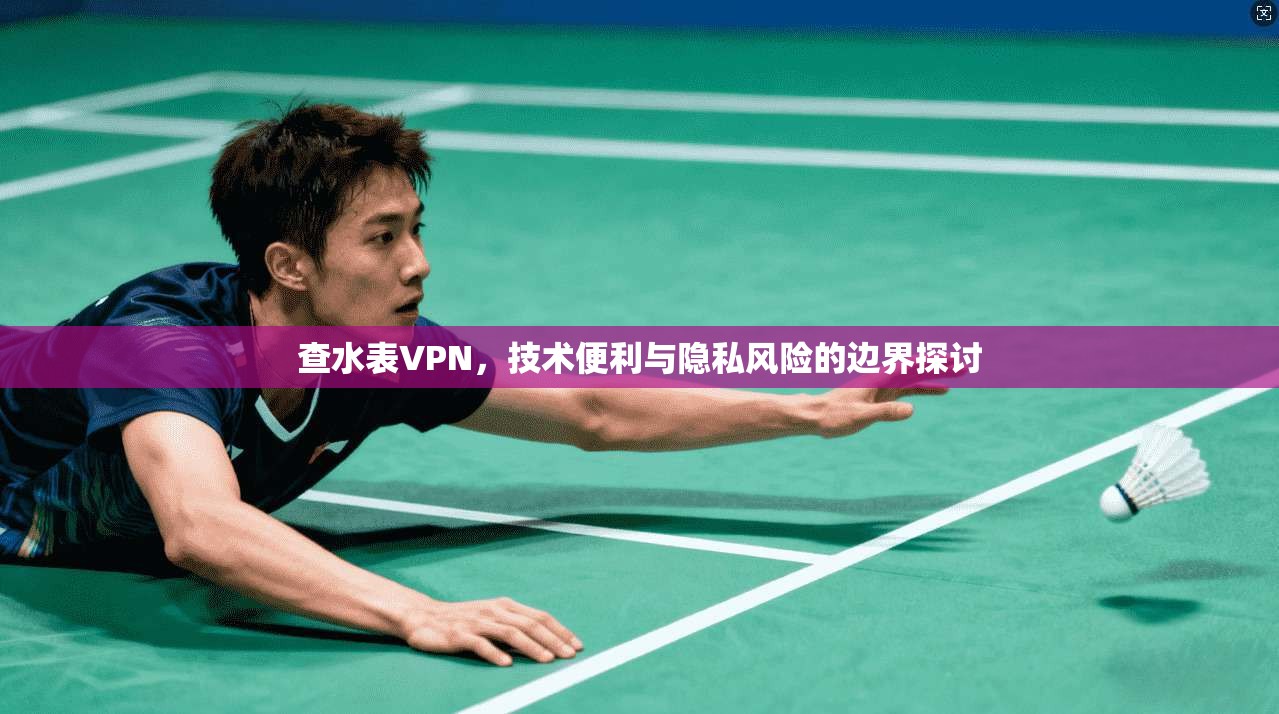 查水表VPN,技术便利与隐私风险的边界探讨 查水表VPN,技术便利与隐私风险的边界探讨