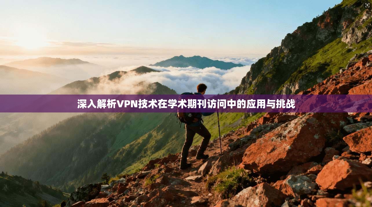 深入解析VPN技术在学术期刊访问中的应用与挑战
