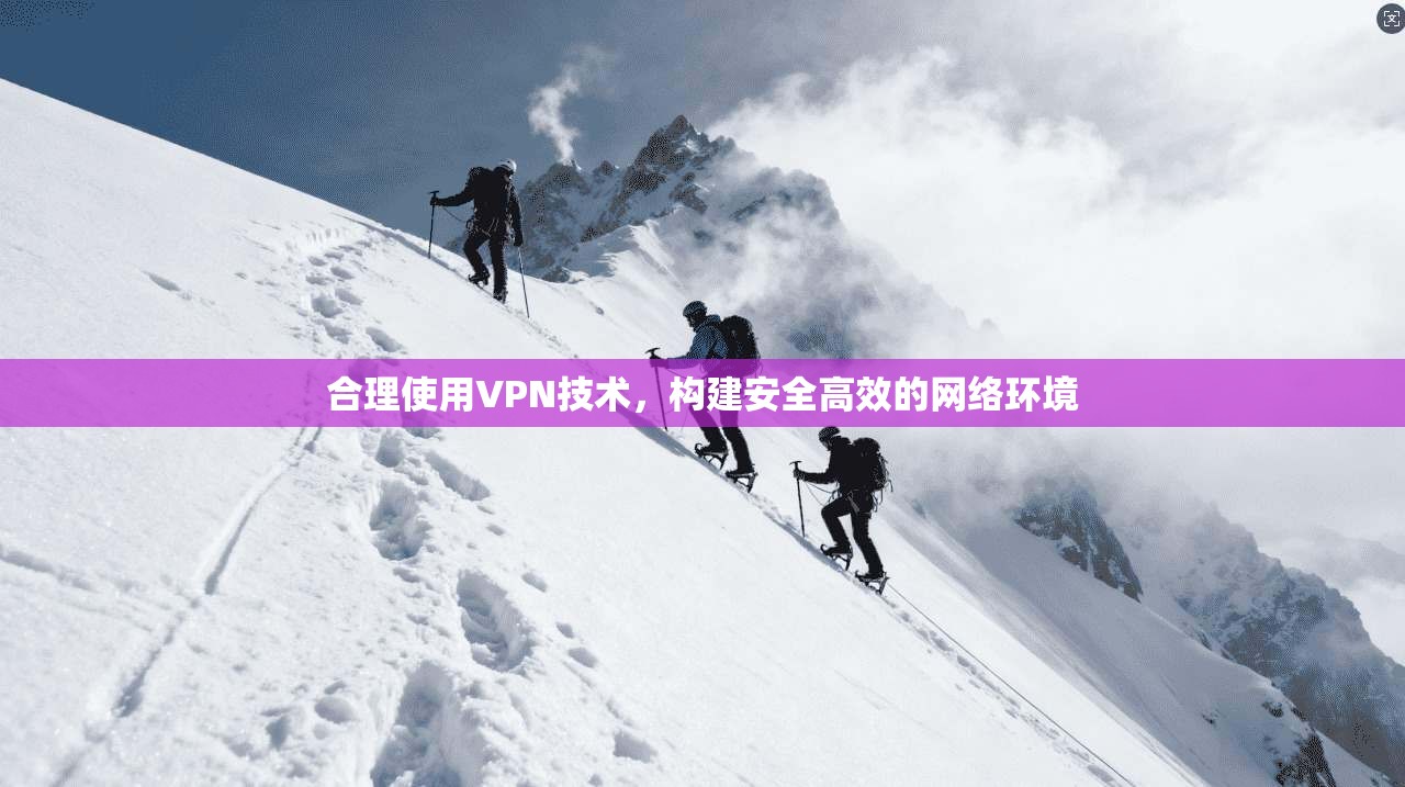 合理使用VPN技术，构建安全高效的网络环境