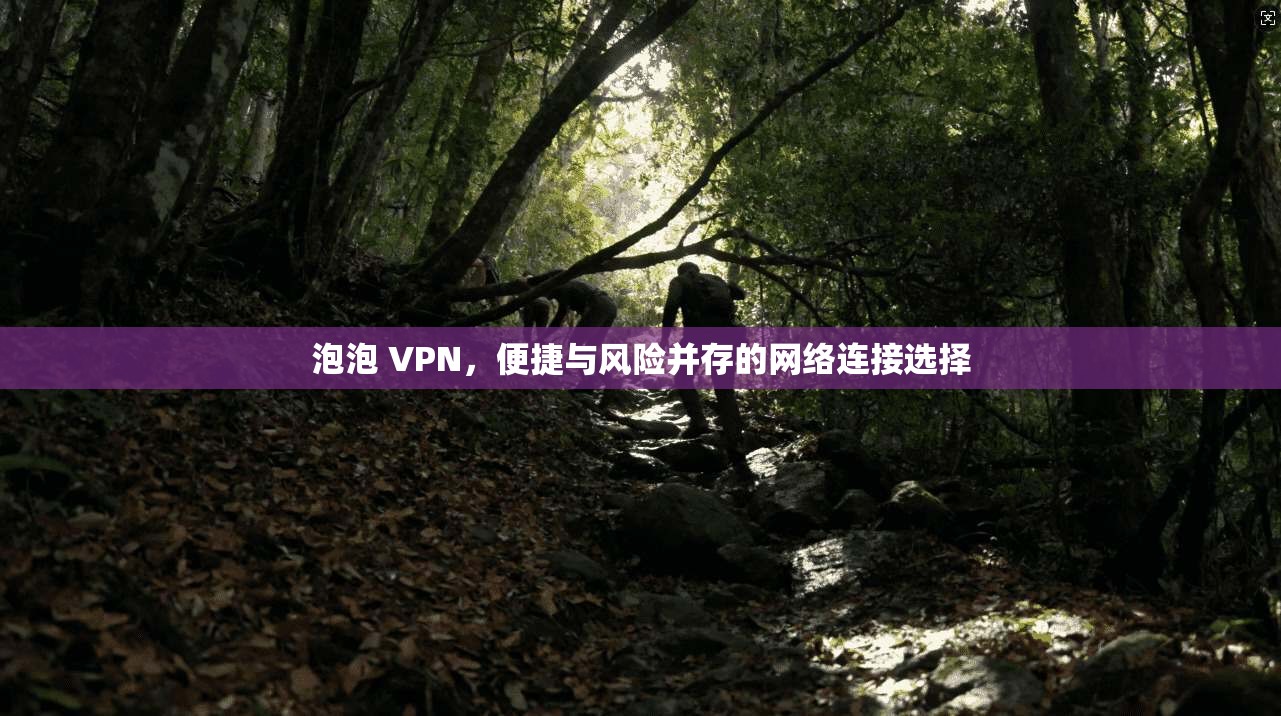 泡泡 VPN,便捷与风险并存的网络连接选择 泡泡 VPN,便捷与风险并存的网络连接选择
