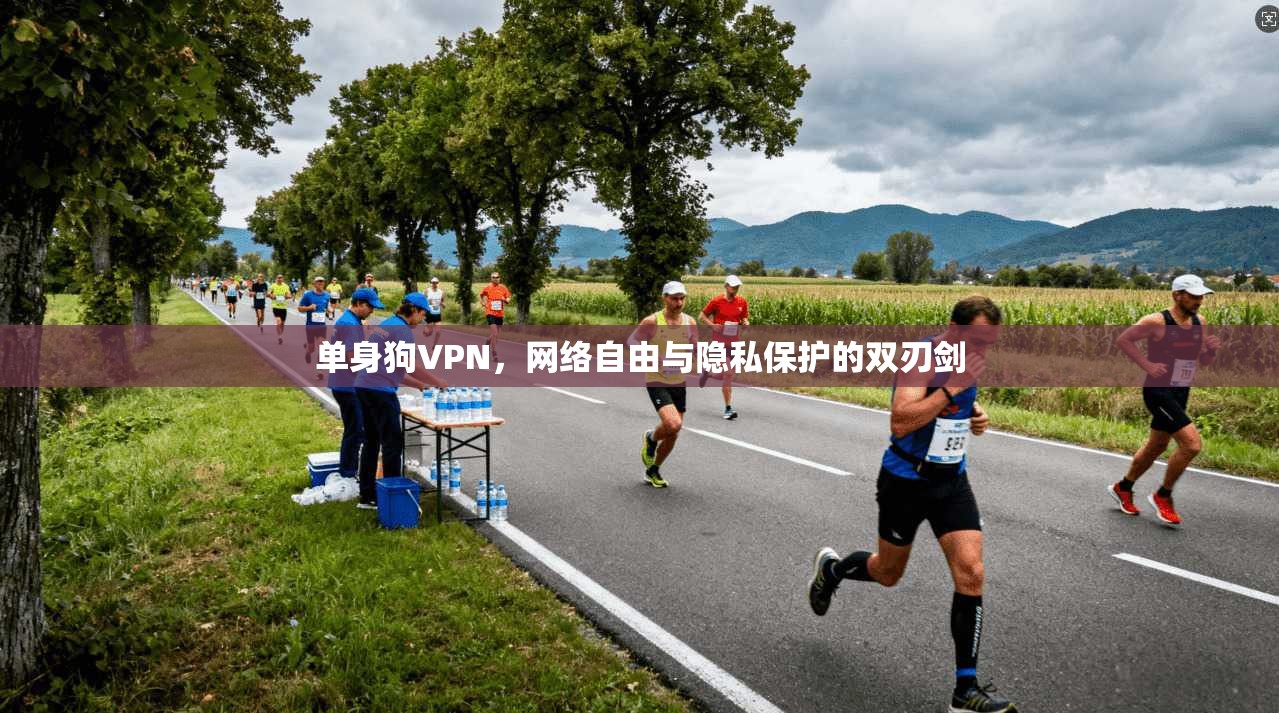 单身狗VPN,网络自由与隐私保护的双刃剑