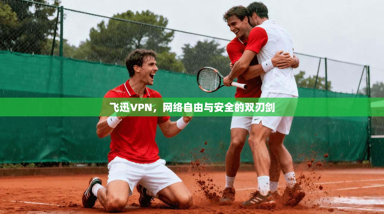 飞迅VPN，网络自由与安全的双刃剑