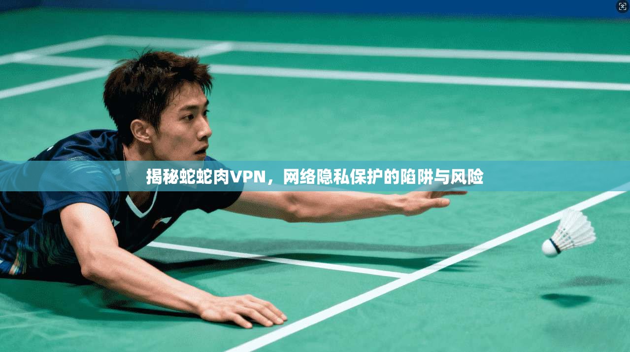 揭秘蛇蛇肉VPN,网络隐私保护的陷阱与风险 揭秘蛇蛇肉VPN,网络隐私保护的陷阱与风险