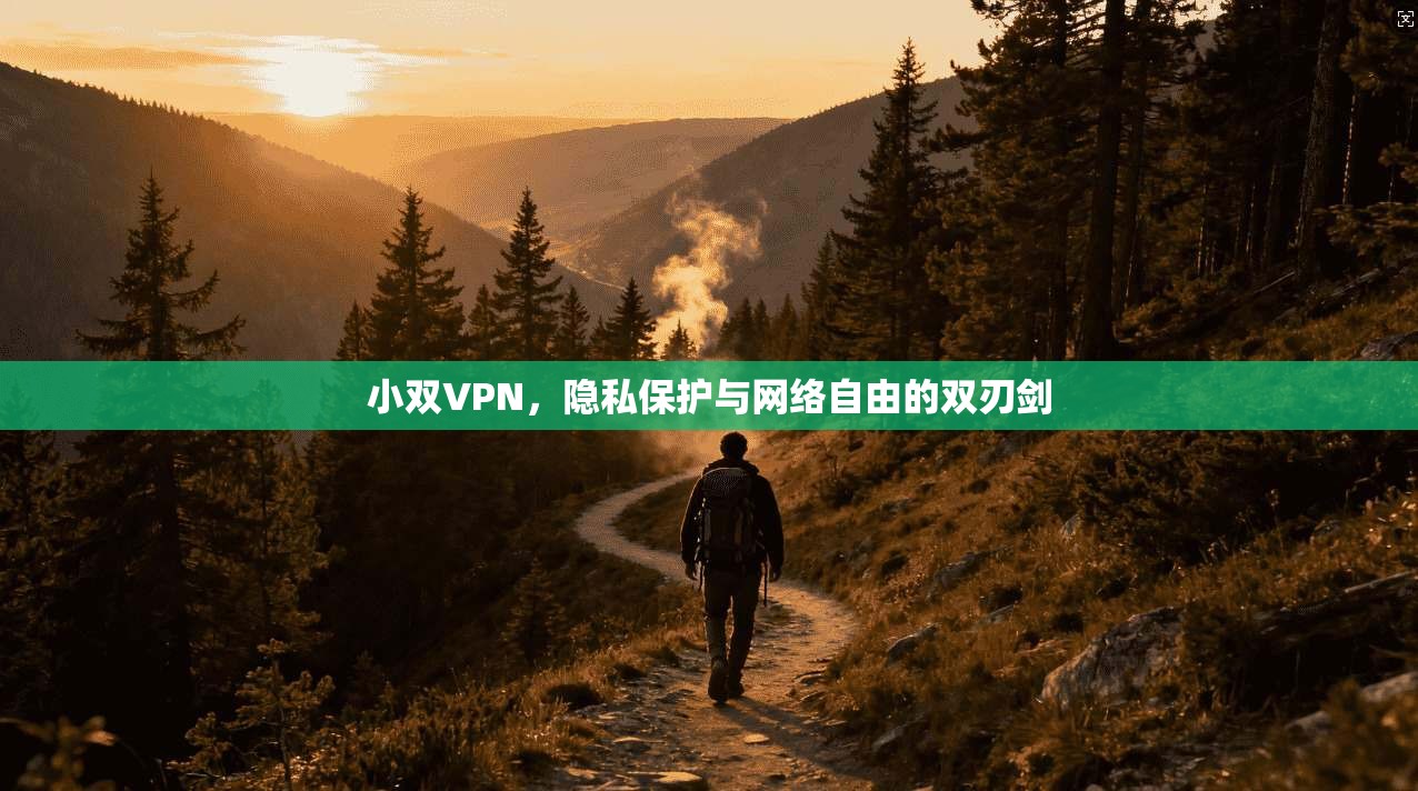 小双VPN，隐私保护与网络自由的双刃剑