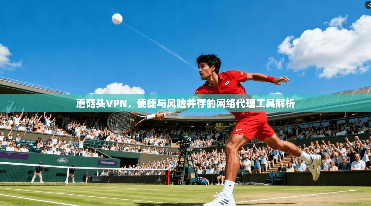 蘑菇头VPN，便捷与风险并存的网络代理工具解析