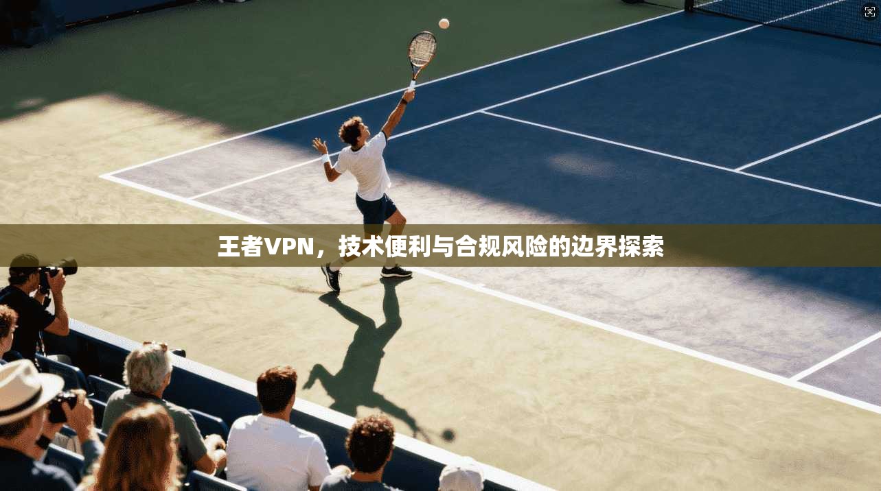 王者VPN，技术便利与合规风险的边界探索