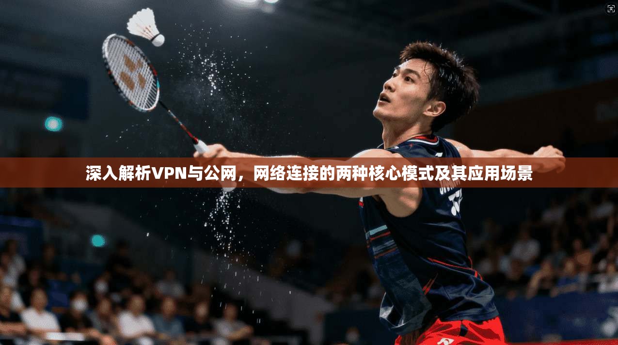 深入解析VPN与公网,网络连接的两种核心模式及其应用场景 深入解析VPN与公网,网络连接的两种核心模式及其应用场景
