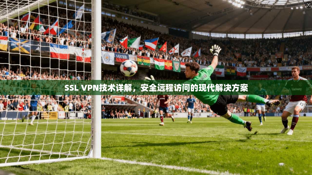 SSL VPN技术详解，安全远程访问的现代解决方案
