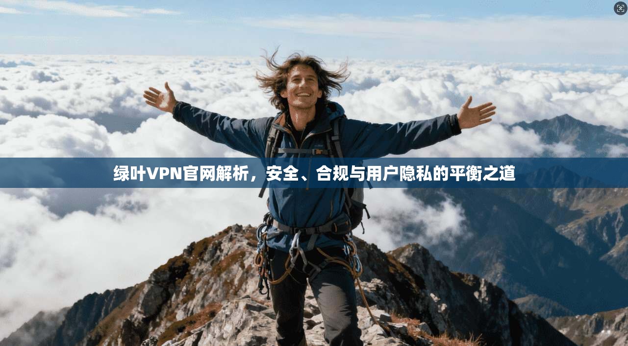 绿叶VPN官网解析,安全、合规与用户隐私的平衡之道 绿叶VPN官网解析,安全、合规与用户隐私的平衡之道