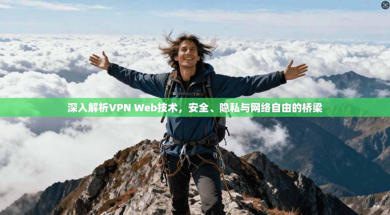 深入解析VPN Web技术，安全、隐私与网络自由的桥梁