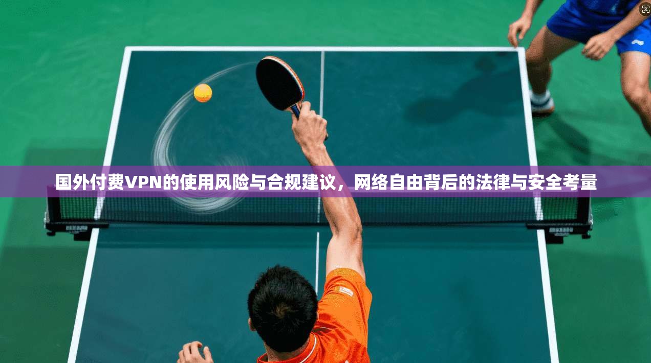 国外付费VPN的使用风险与合规建议，网络自由背后的法律与安全考量