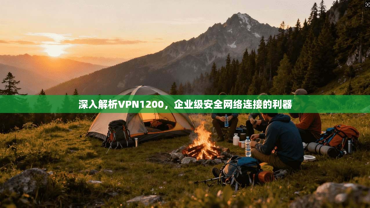 深入解析VPN1200，企业级安全网络连接的利器