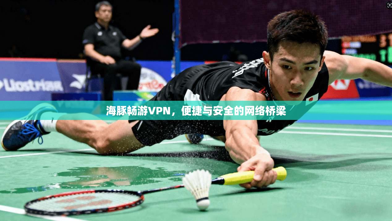 海豚畅游VPN，便捷与安全的网络桥梁